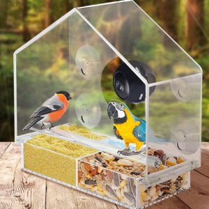 Bird Feeder Camera Live Bird Feeder Cam Bird Buddy Smart Bird Feeder With Camera