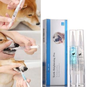 Pet S Teeth Health By Repairing And Preventing Disease