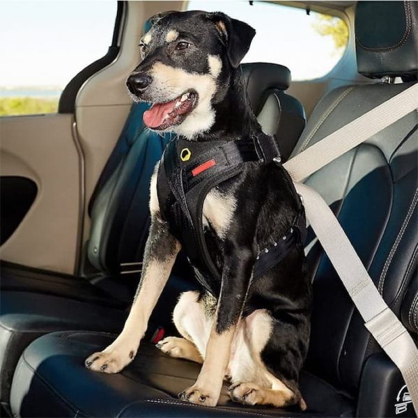 Travel Dog Car Harness Premium Vehicle Restraint Vest For Protection And Comfort