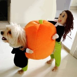 Halloween Special 49 Dog Cat Pumpkin Halloween Costume