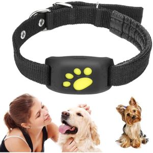 Smart Gps Cat Collar Pet Gps Tracker