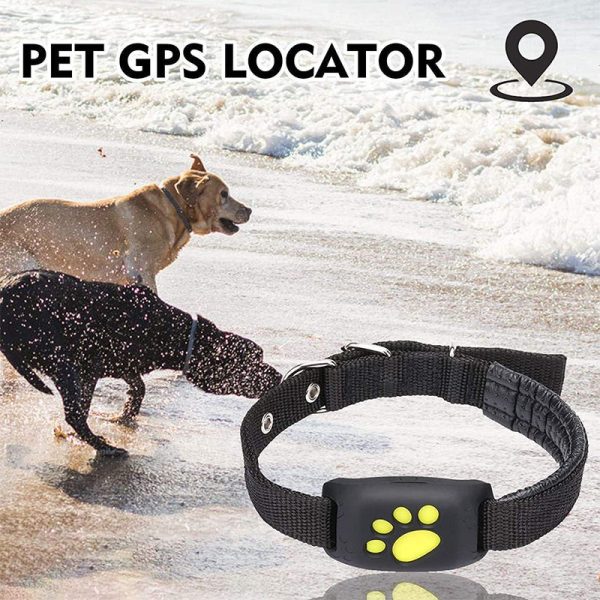 Smart Gps Cat Collar Pet Gps Tracker