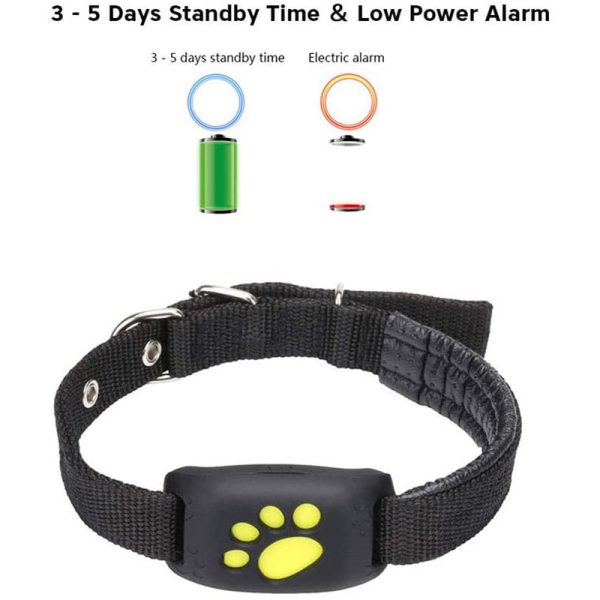 Smart Gps Cat Collar Pet Gps Tracker