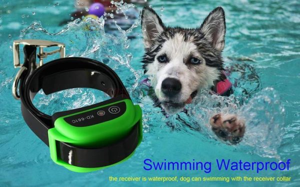 Wireless Electric Dog Fence Invisible Dog Fence With Shock Collar