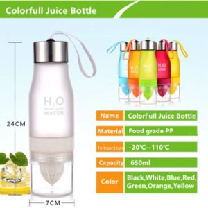 H2O Fruit Infusion Water Bottle