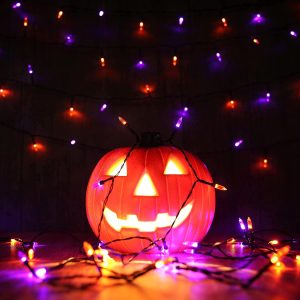 Flacchi Orange Purple Halloween String Lights 100 Led 33 Ft Battery Operated String Lights Waterproof 8 Modes & Auto Timer Mini Lights For Party, Halloween Decorations, Outdoor & Indoor Decor