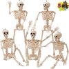 Joyin 5 Pcs Posable Halloween Skeletons 16 Inches Full Body Posable Joints Hanging Skeletons For Graveyard Decorations, Haunted House Accessories, Spooky Scene Party Favors