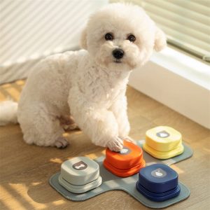 4 Colors Pet Communication Button One-Click Recordable Dog Talking Button