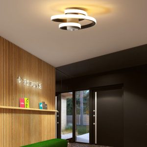 Simple And Modern Metal Led Lighting Ceiling Light