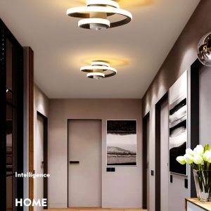 Simple And Modern Metal Led Lighting Ceiling Light