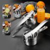 Stainless Steel Portable Juicer Squeezing Potato Masher Garlic Press