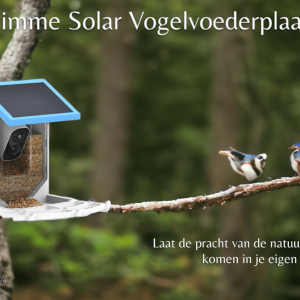 Smart Solar Bird Feeder - Discover Nature In A Unique Way!