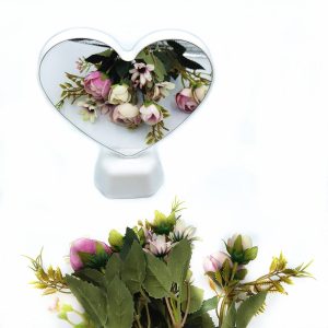 Heart Mirror Led Night Lamp