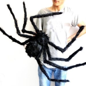 Giant Plush Spider & Webs