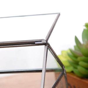 Mini Tabletop Greenhouse Terrarium