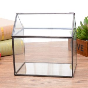 Mini Tabletop Greenhouse Terrarium