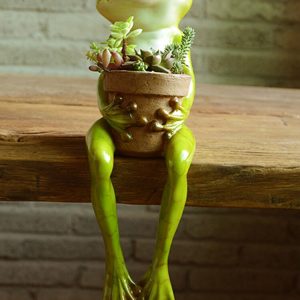 Resin Frog Fairy Flower Pot