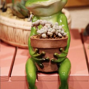 Resin Frog Fairy Flower Pot