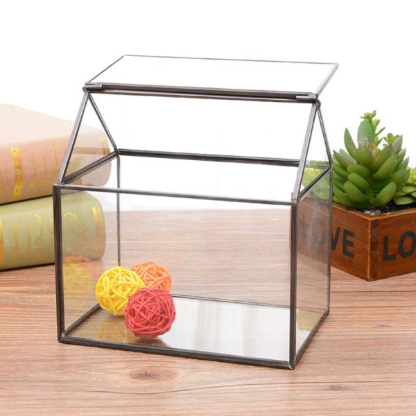 Mini Tabletop Greenhouse Terrarium