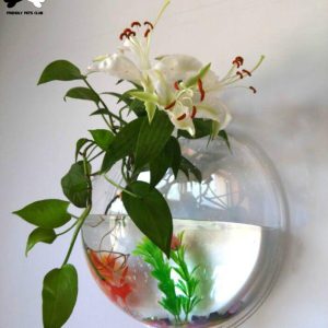 Wall Mounted Transparent Fish Tank Flower Vase