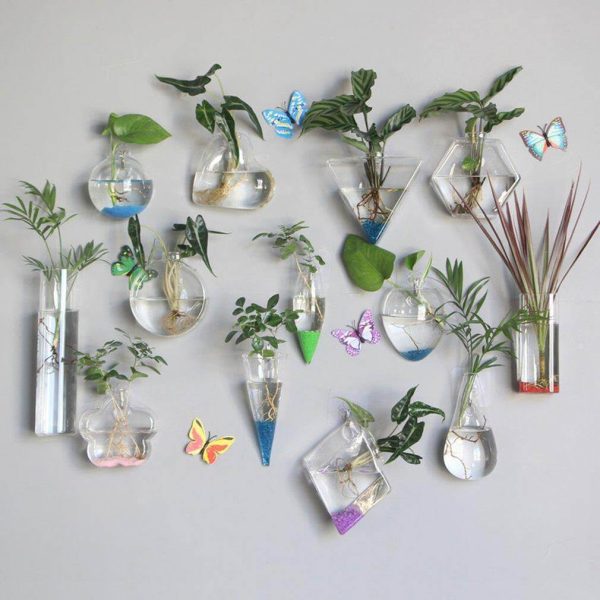 Wall Hanging Hydroponic Glass Vases