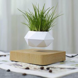 Levitating Magnetic Flower Pot