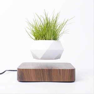 Levitating Magnetic Flower Pot