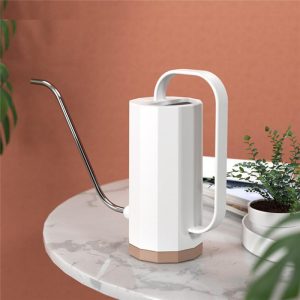 Elegant Geometric Gooseneck Plant Watering Can