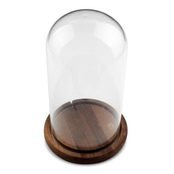 Christmas Cylinder Glass Dome Display With Wooden Base