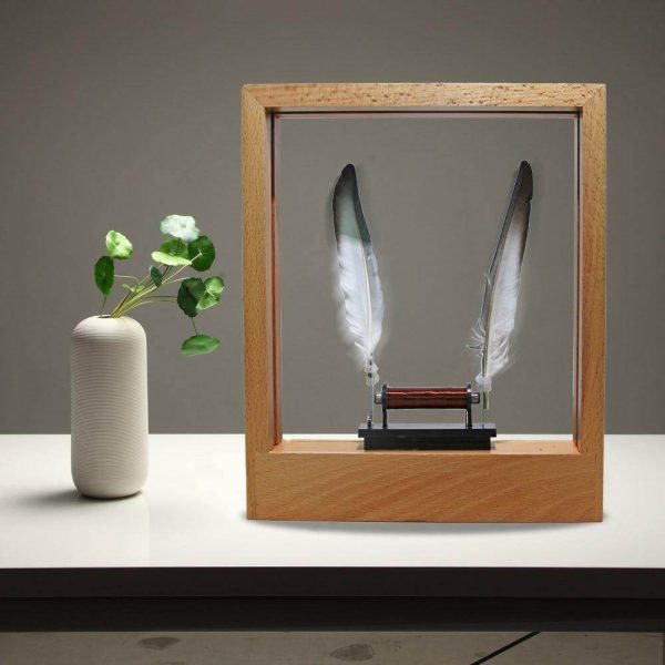 Slow Motion Frame Led Feather Night Light