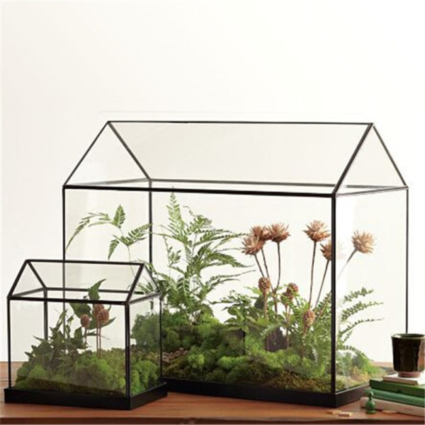 Mini Tabletop Greenhouse Terrarium