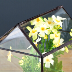 Mini Tabletop Greenhouse Terrarium